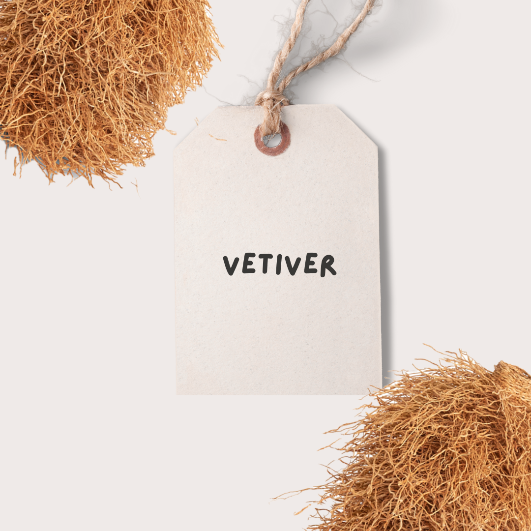 Vetiver