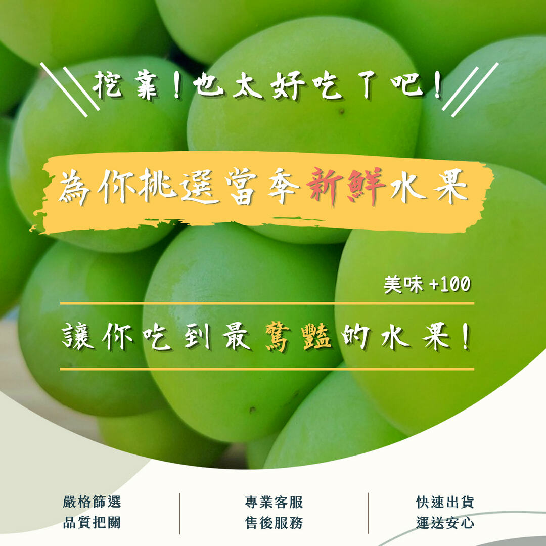 日本岡山晴王葡萄