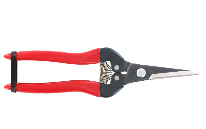 "ARS" 7-1/2"日本花果剪