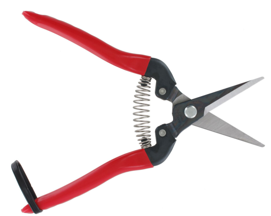 "ARS" 7-1/2"日本花果剪