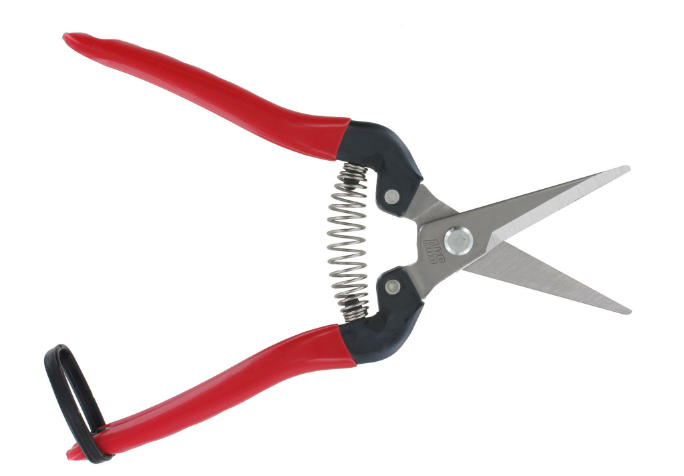 "ARS" 7-1/2"日本花果剪(不鏽鋼刀刃)