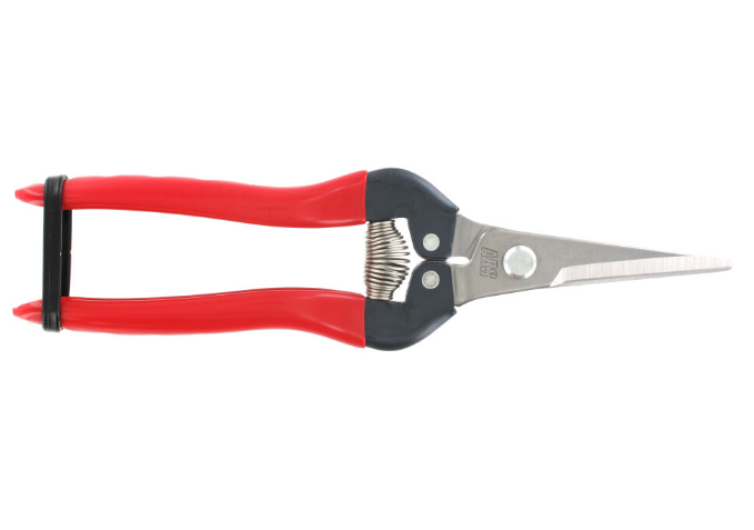 "ARS" 7-1/2"日本花果剪(不鏽鋼刀刃)