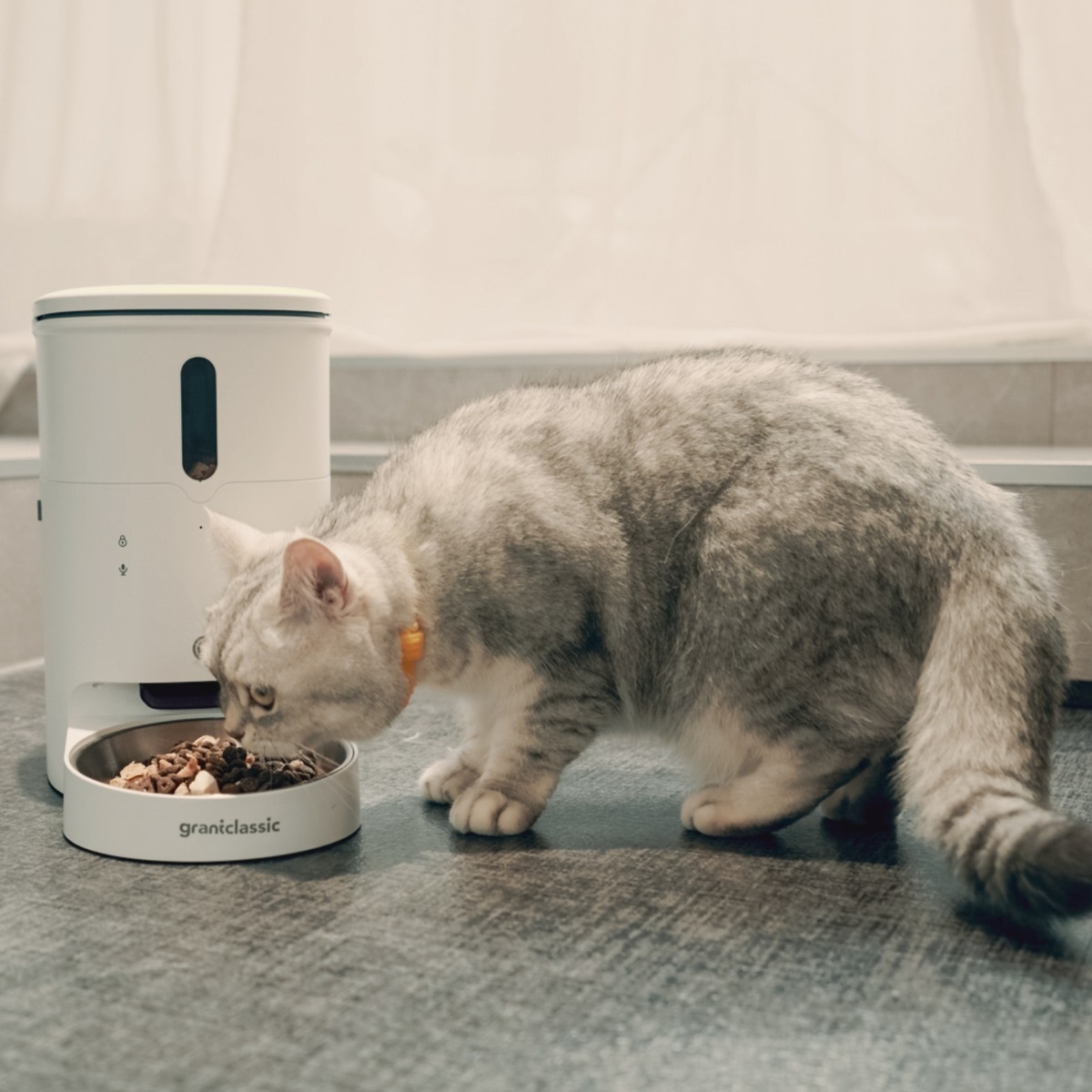 【grantclassic】餵不停 LuxNourish 貓狗自動餵食器
