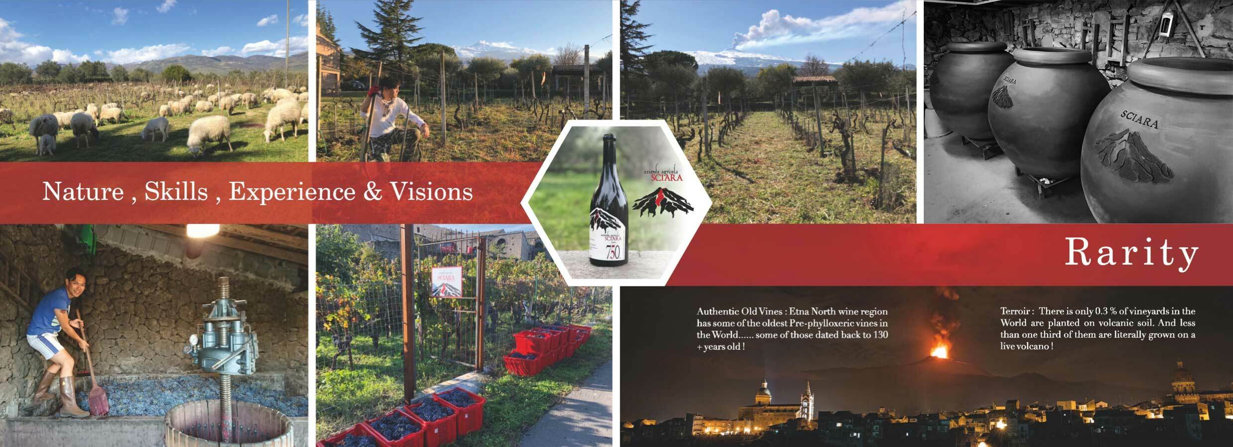 Sciara Etna Rosso Stef Yim