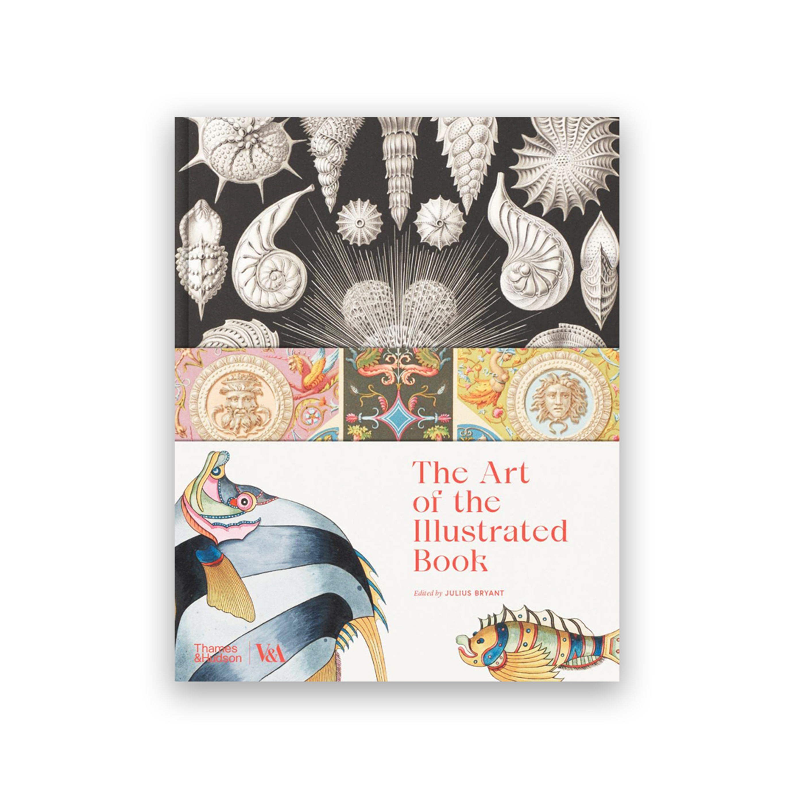 The Art of the Illustrated Book