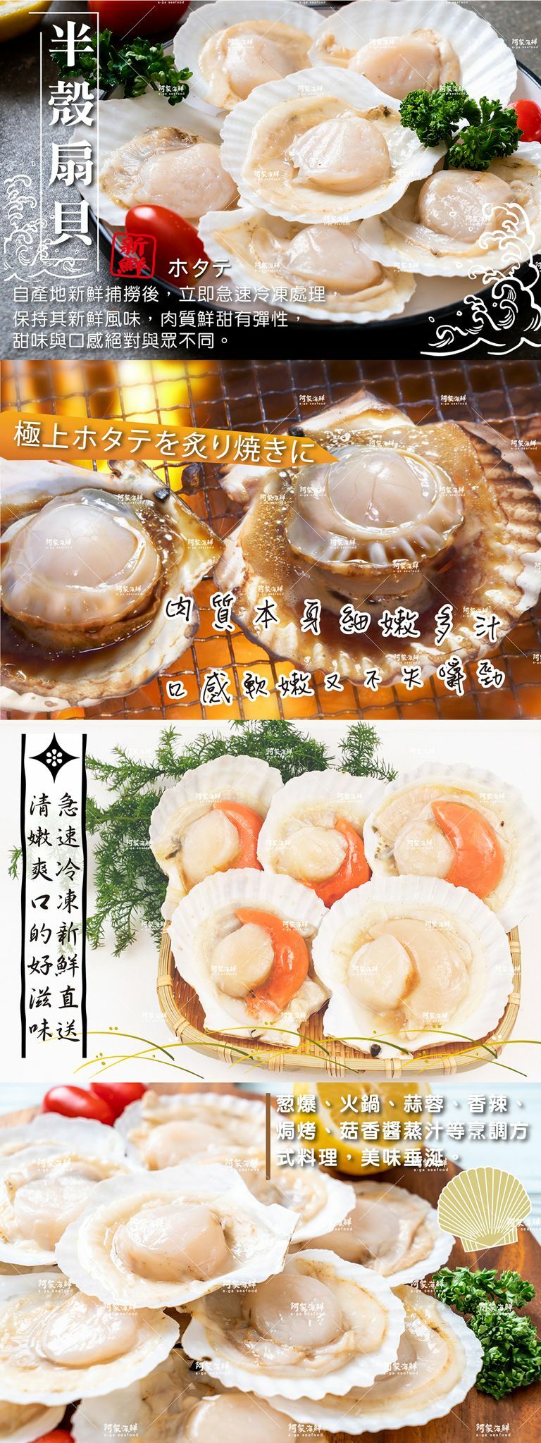 日式 北野水產 半殼扇貝 L