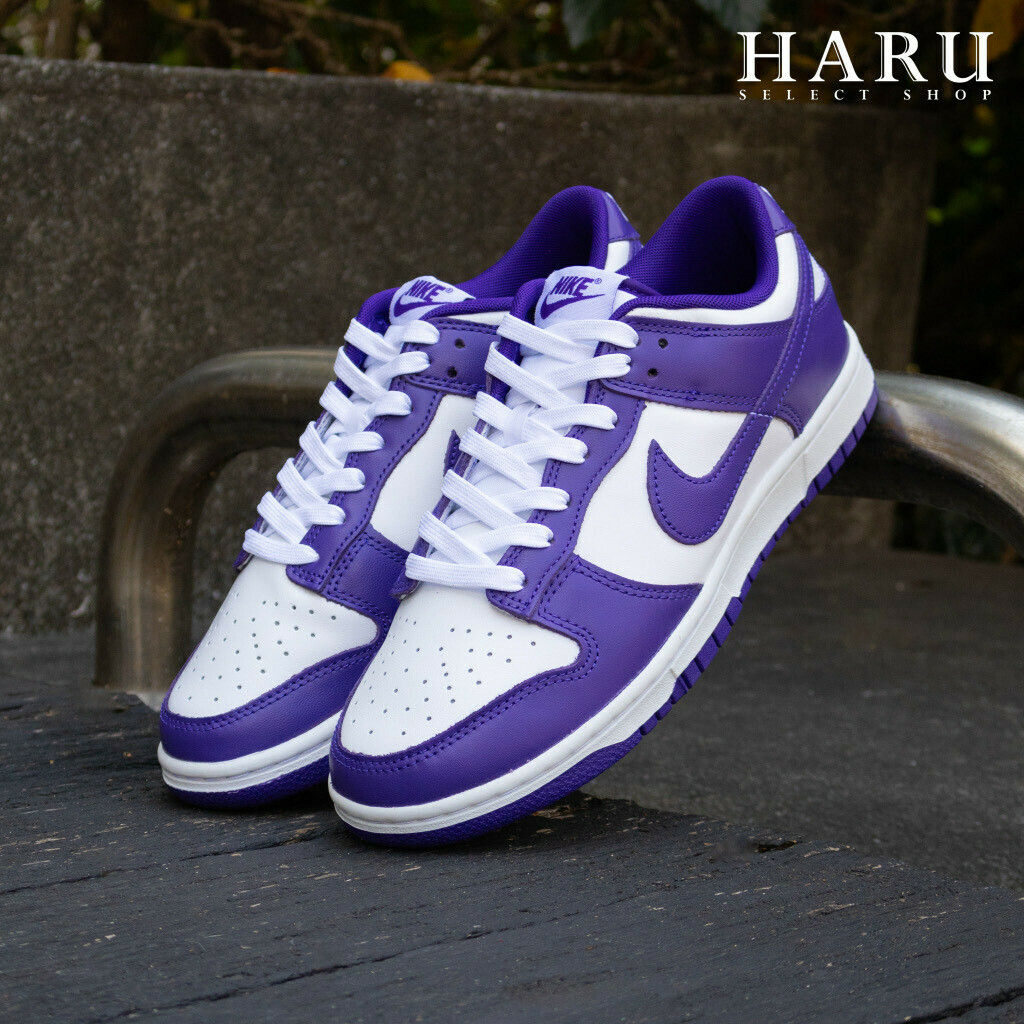 現貨NIKE DUNK LOW RETRO 