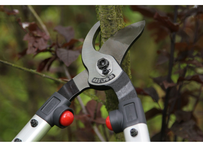 "ARS" 19" 日本樹枝剪