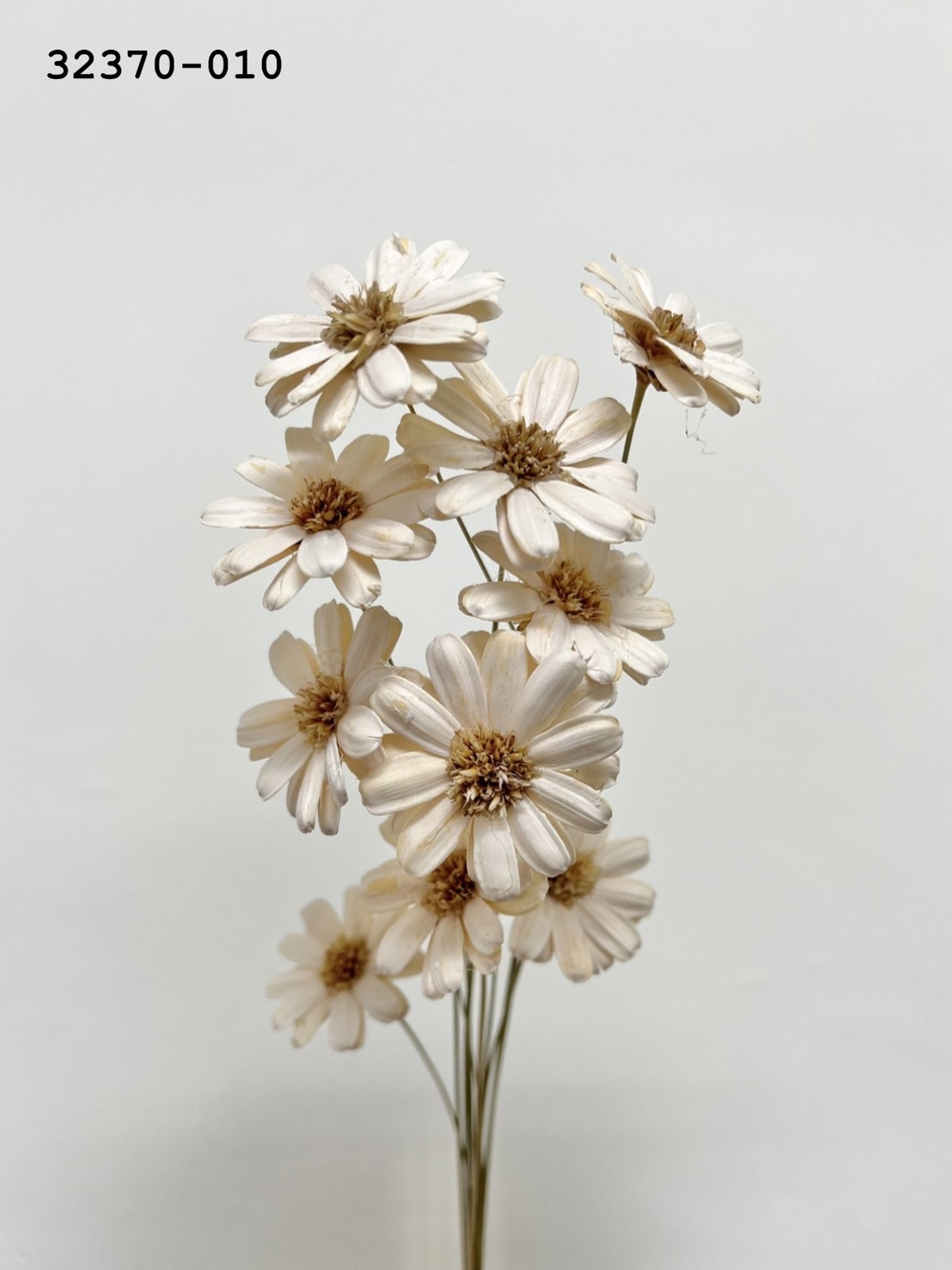 手工瑪格麗特 32370-010