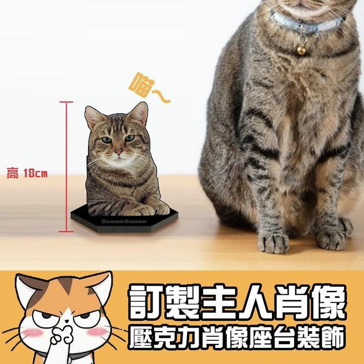 貓貓主人肖像