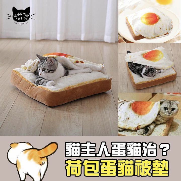 荷包蛋貓貓坐墊加披