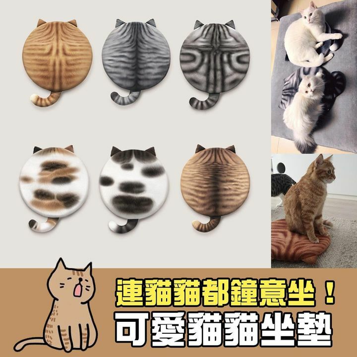 貓貓坐墊