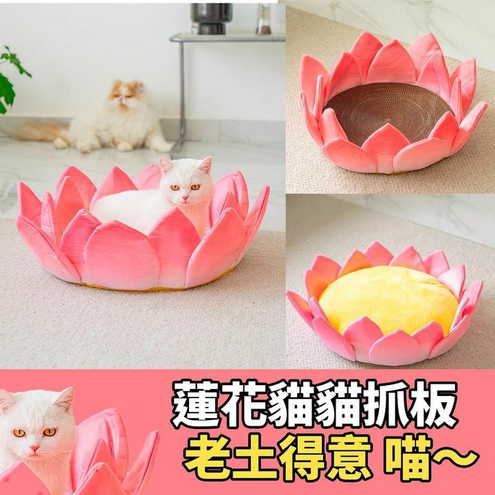 觀音蓮花坐墊（貓貓抓板版本）