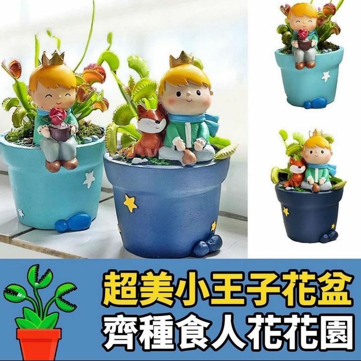 小王子與玫瑰花盆