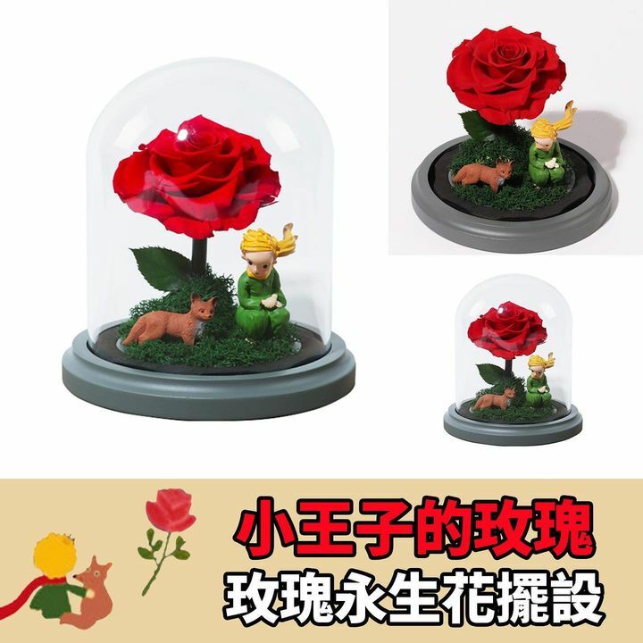 小王子的玫瑰永生花