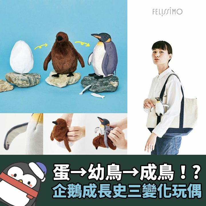 企鵝成長史三變化玩偶