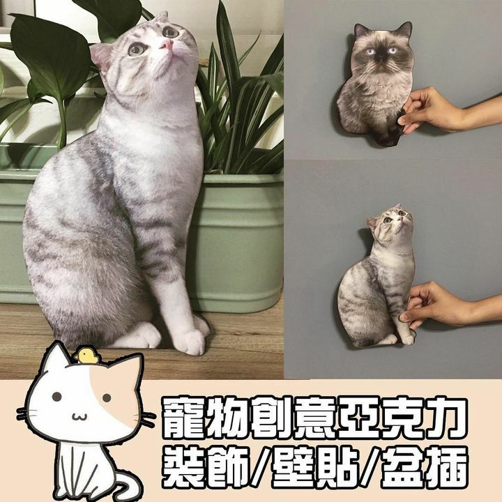 客製的寵物創意PVC板