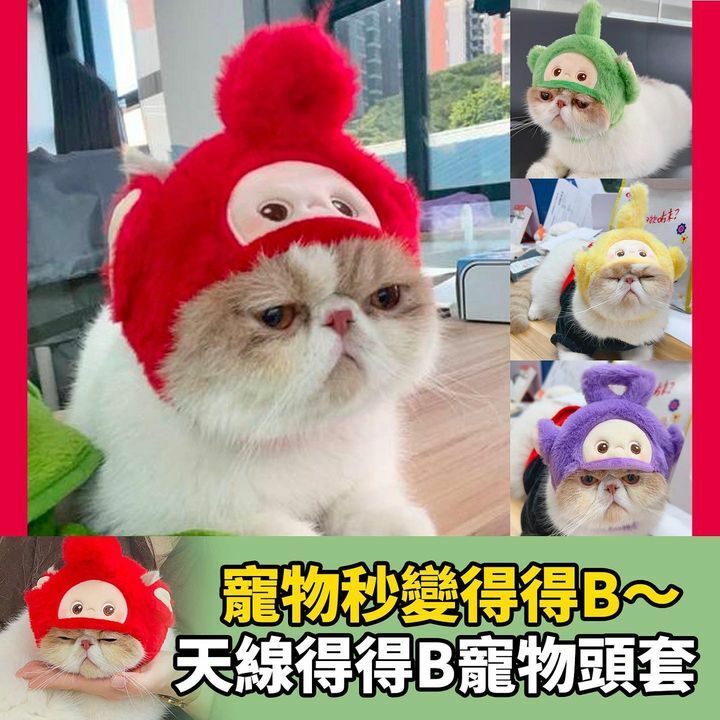 天線得得b寵物頭套
