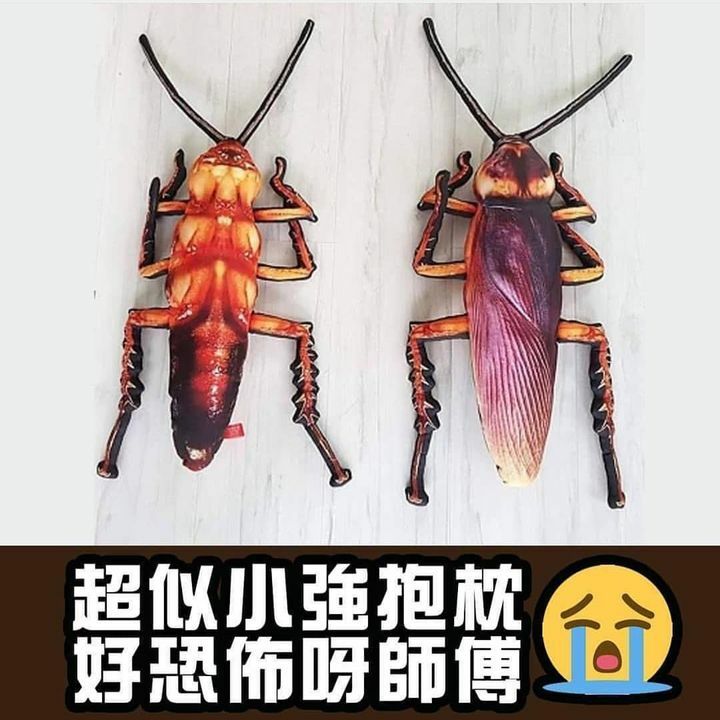 超像真蟑螂抱枕