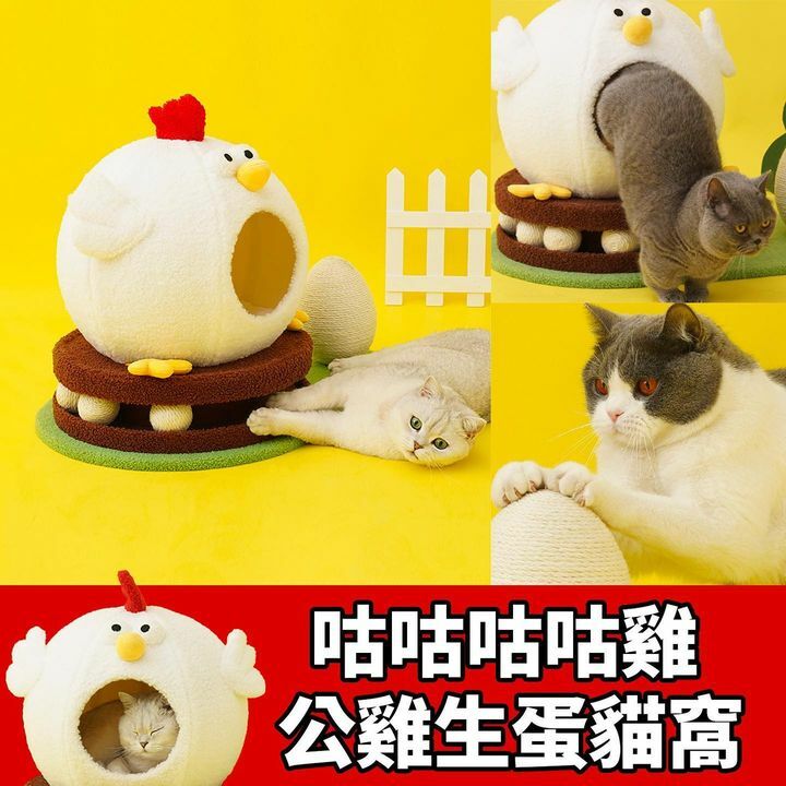 貓貓公雞生蛋貓窩