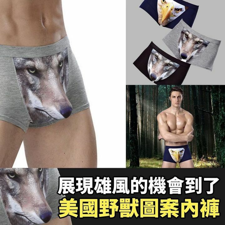 美國野獸圖案內褲套裝