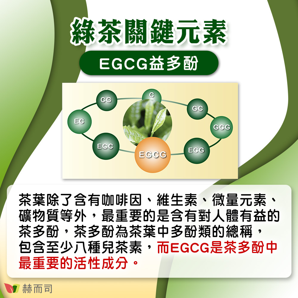 赫而司EGCG二代茶多酚4合1膠囊 綠茶關鍵元素EGCG益多酚，茶葉除了含有咖啡因、維生素、微量元素、礦物質等外，最重要的是含有對人體有益的茶多酚，茶多酚為茶葉中多酚類的總稱，包含至少八種兒茶素，而EGCG是茶多酚中最重要的活性成分