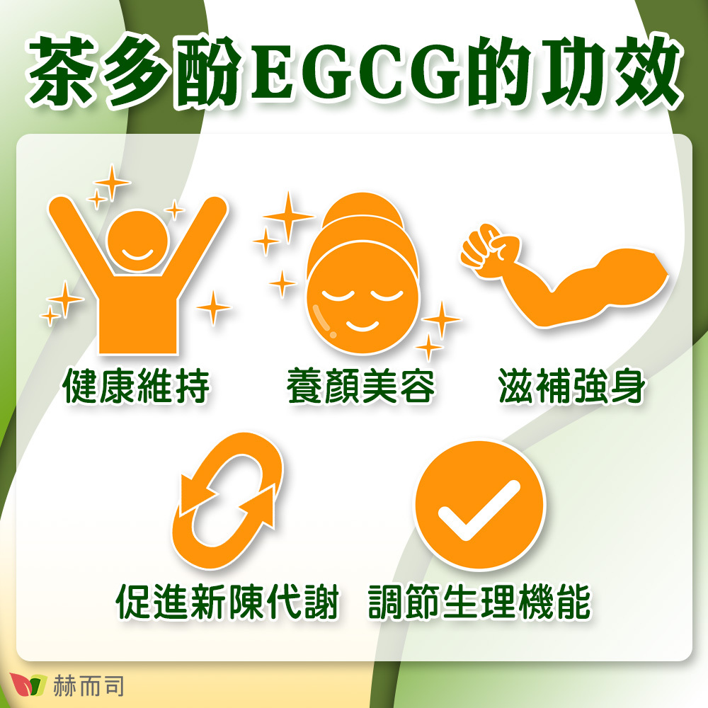 赫而司EGCG二代茶多酚4合1膠囊 茶多酚EGCG的功效有：健康維持、養顏美容、滋補強身、促進新陳代謝、調節生理機能