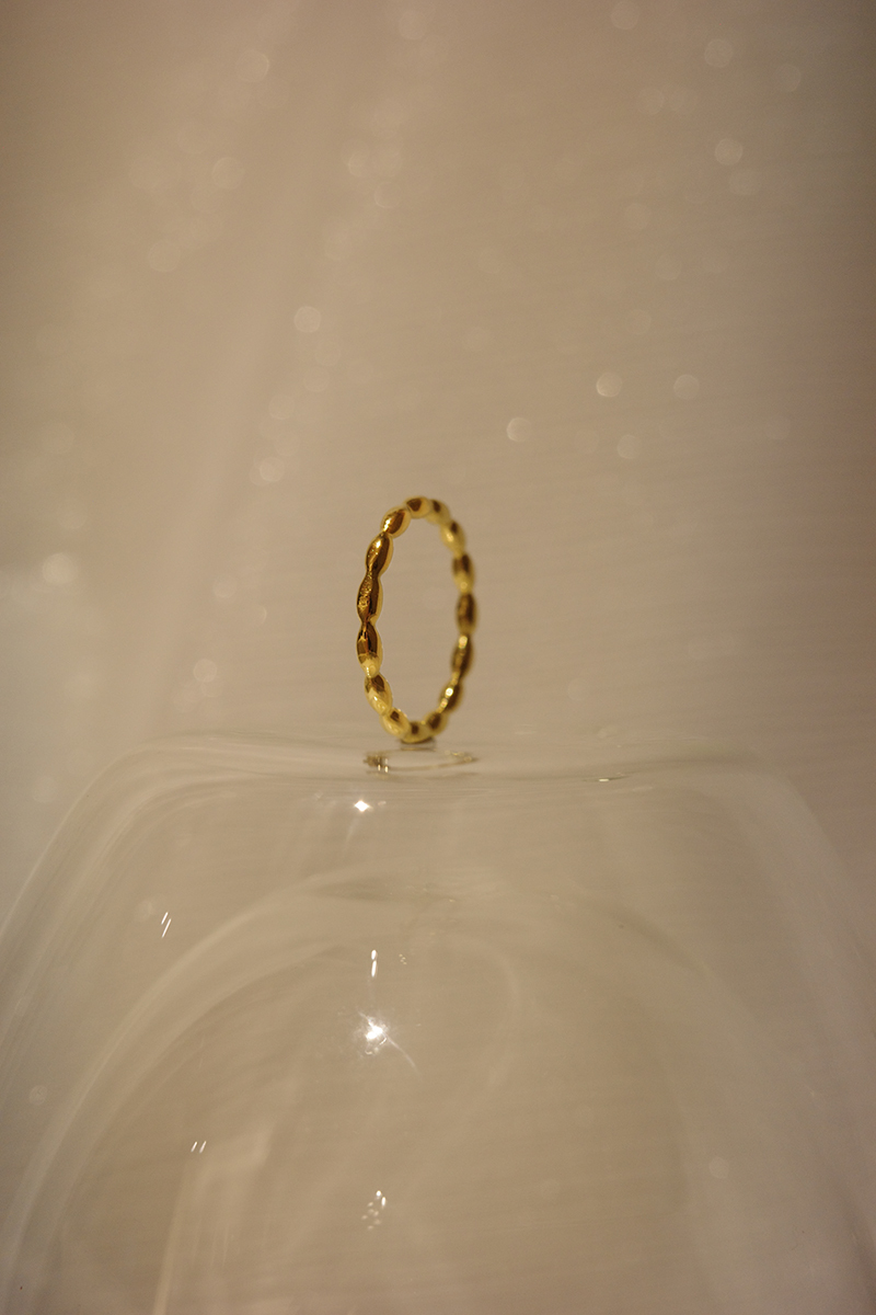 Donut 戒指│鈦鋼│18K 鍍金系列8*