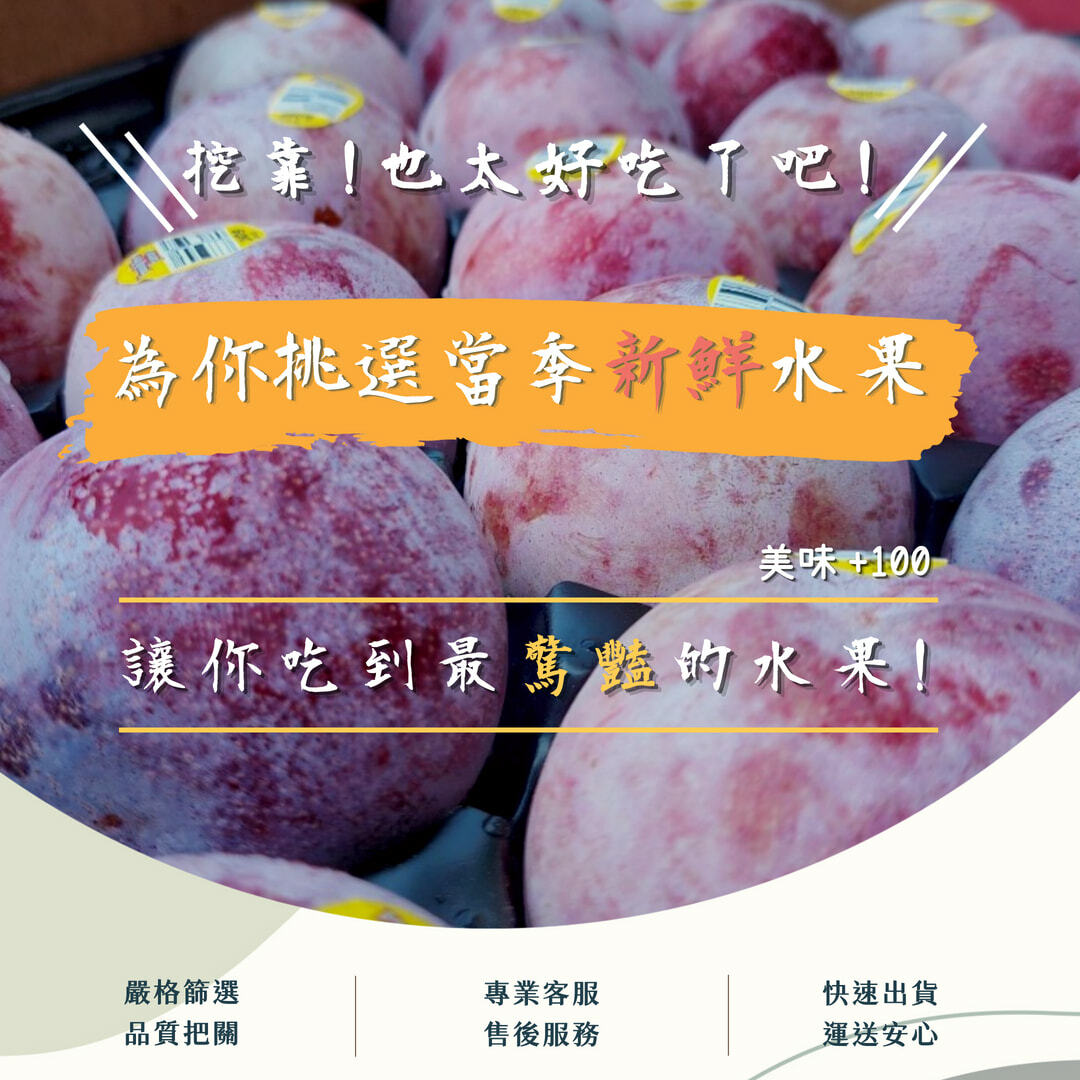 美國加州夜玫瑰李