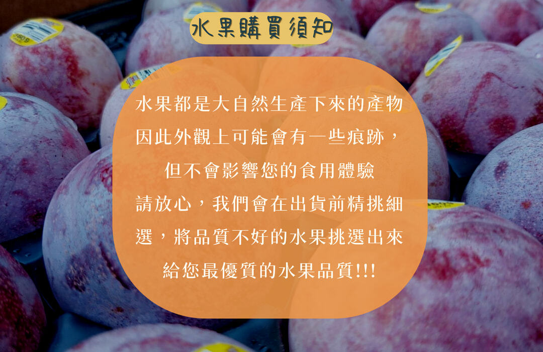 美國加州夜玫瑰李