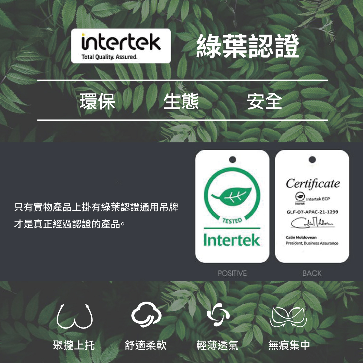 intertek國際標準綠葉認證|Olivia無鋼圈哺乳內衣