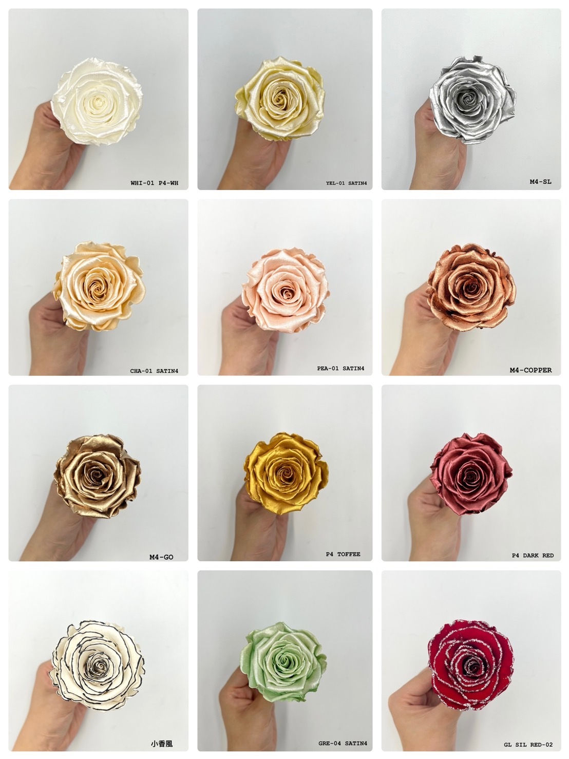 ROSEAMOR XL  特殊色系列