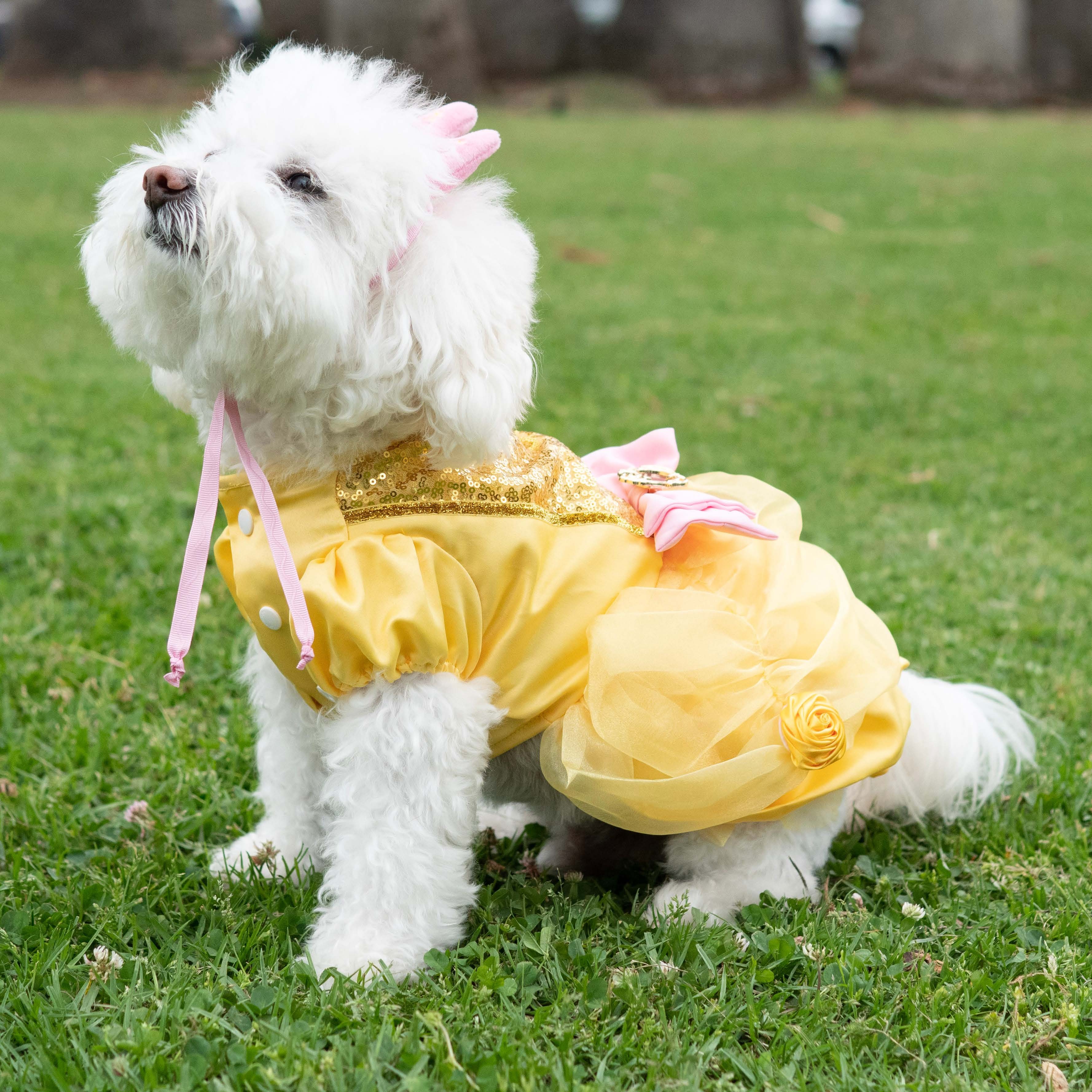 Belle Premium Disney Costume for Pets