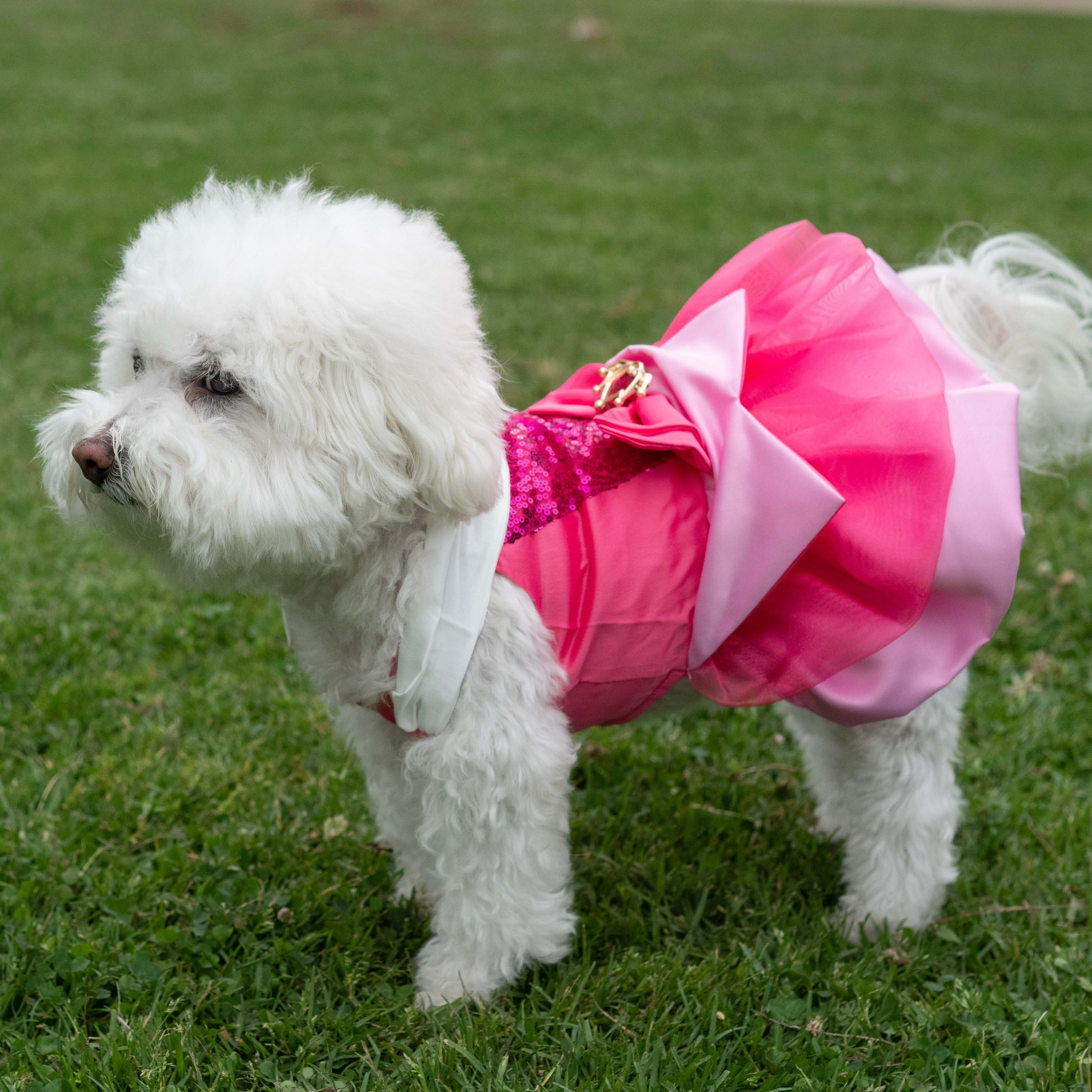 Aurora Premium Disney Costume for Pets