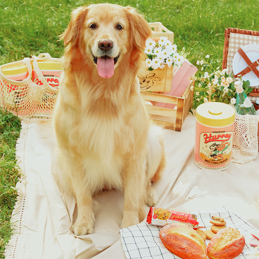 韓國Hurray｜可溶式濕紙巾(130抽)