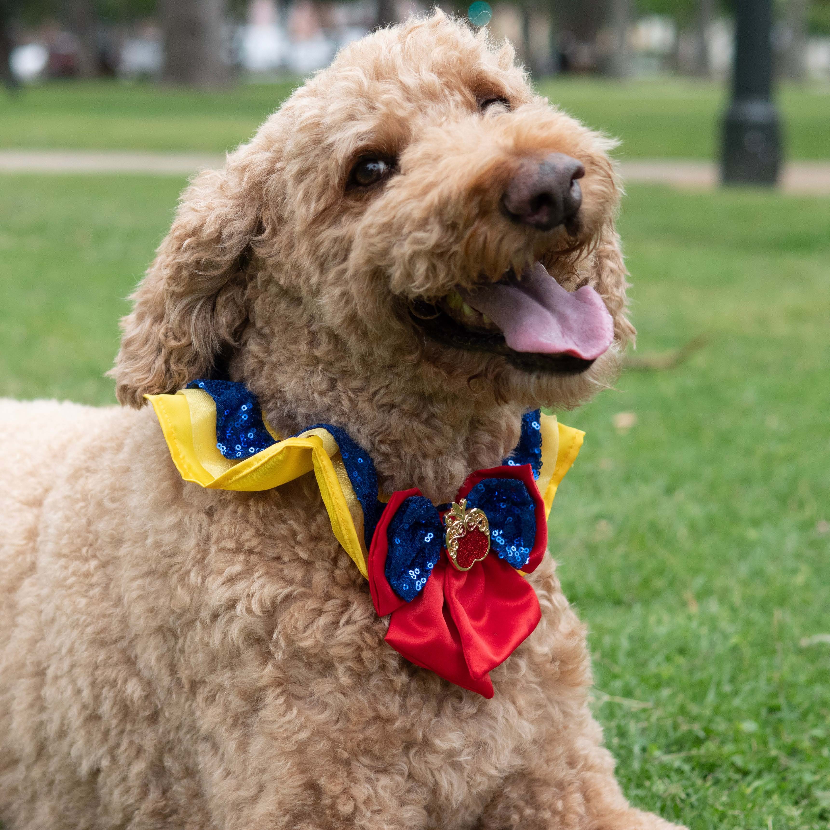 Snow White Premium Disney Collar for Pets