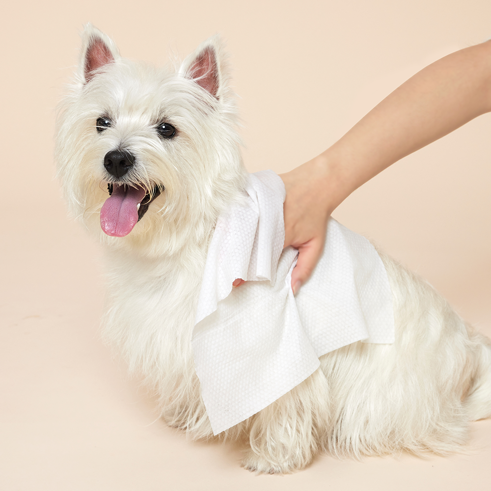 韓國Hurray｜大片式濕紙巾