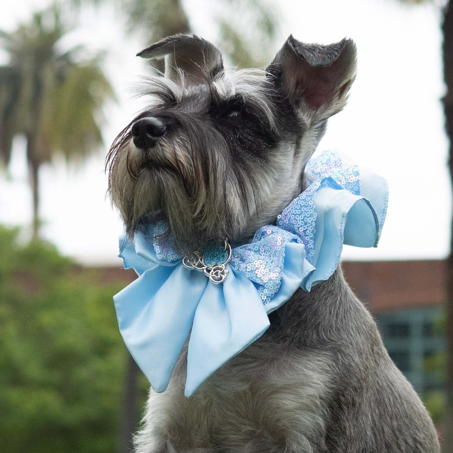 Cinderella Premium Disney Collar for Pets