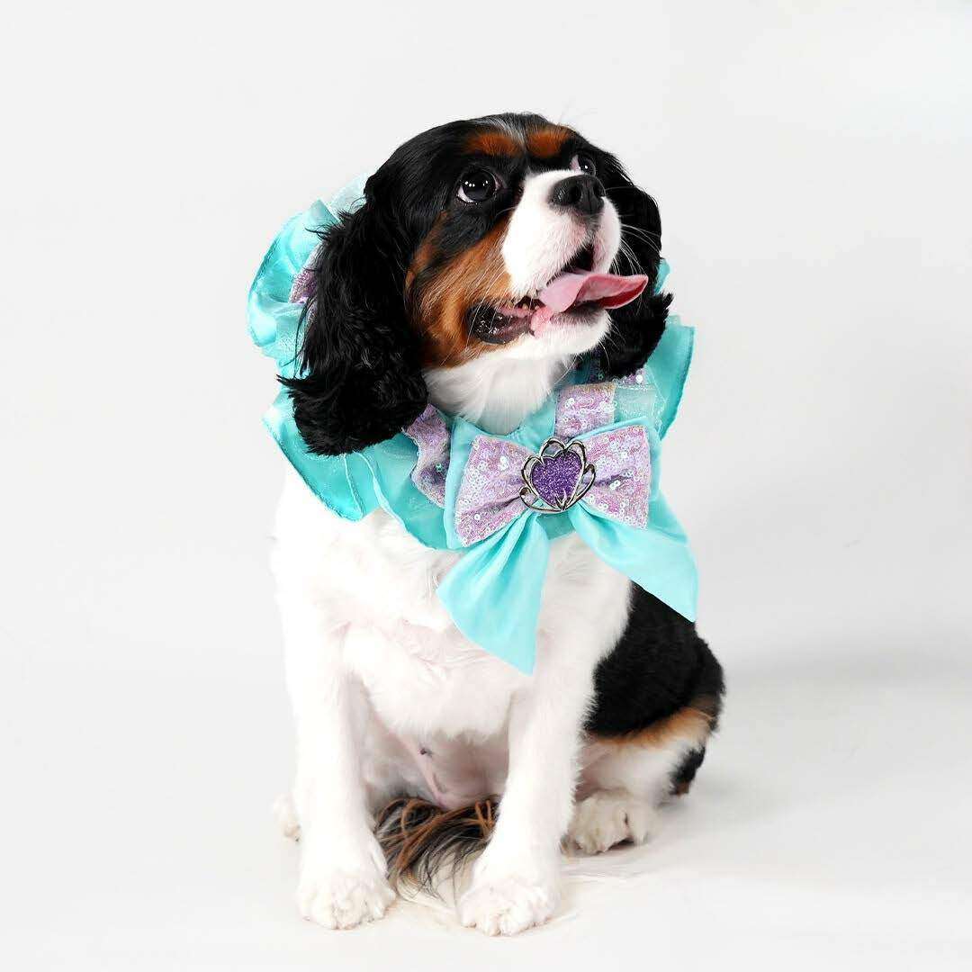 Ariel the Little Mermaid Premium Disney Collar for Pets