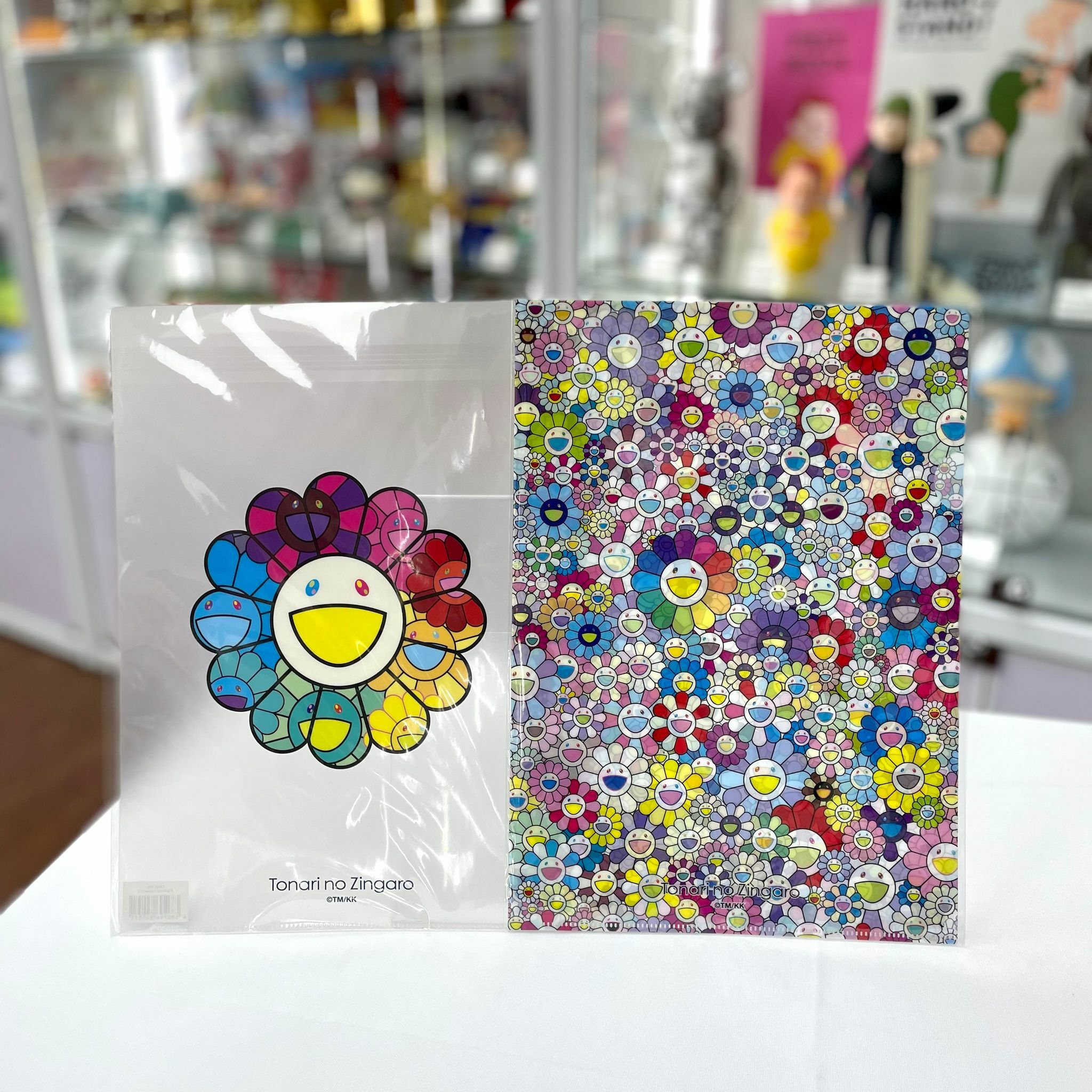 A4 Folder (Rainbow Flower/G)