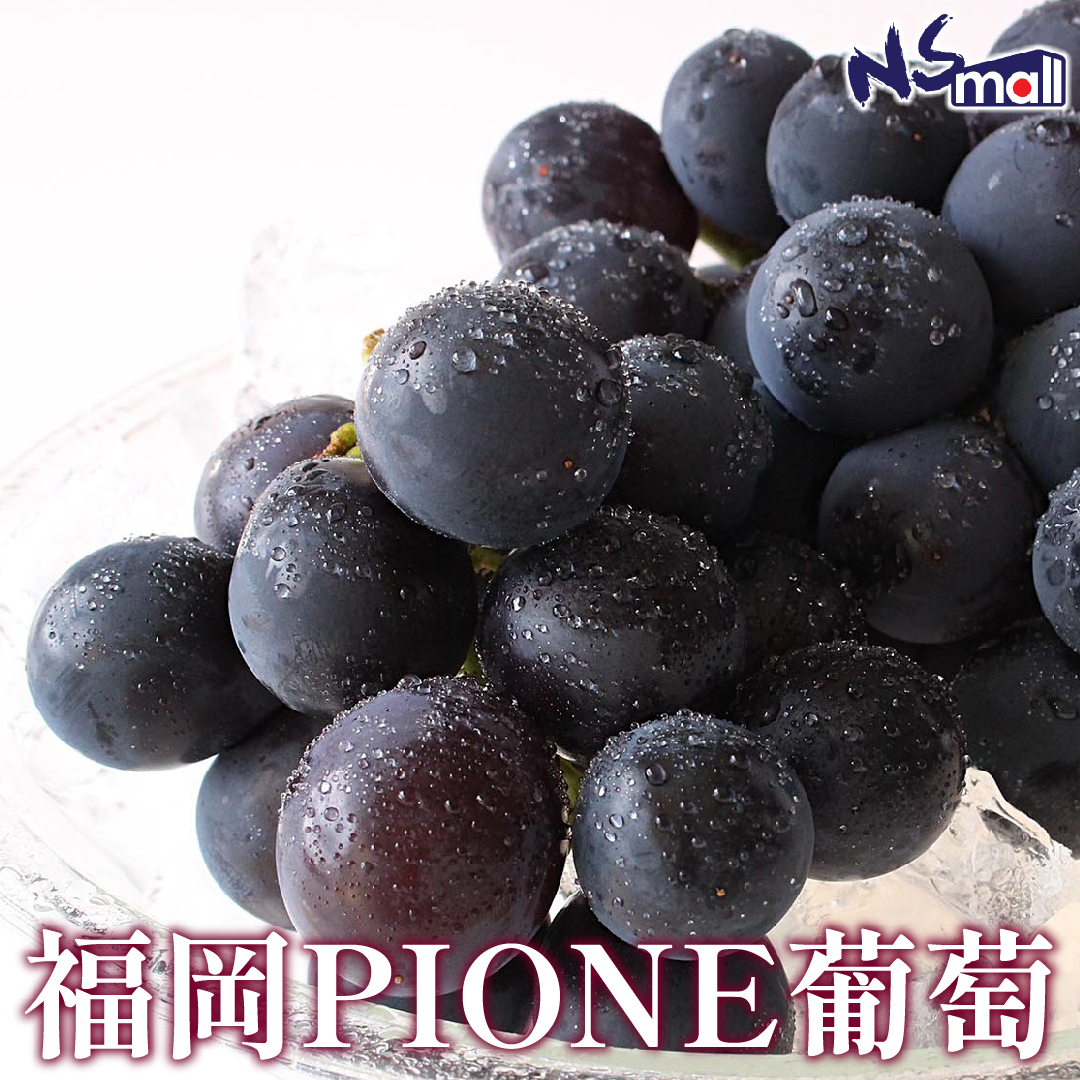 福岡PIONE葡萄 5KG 8/9房