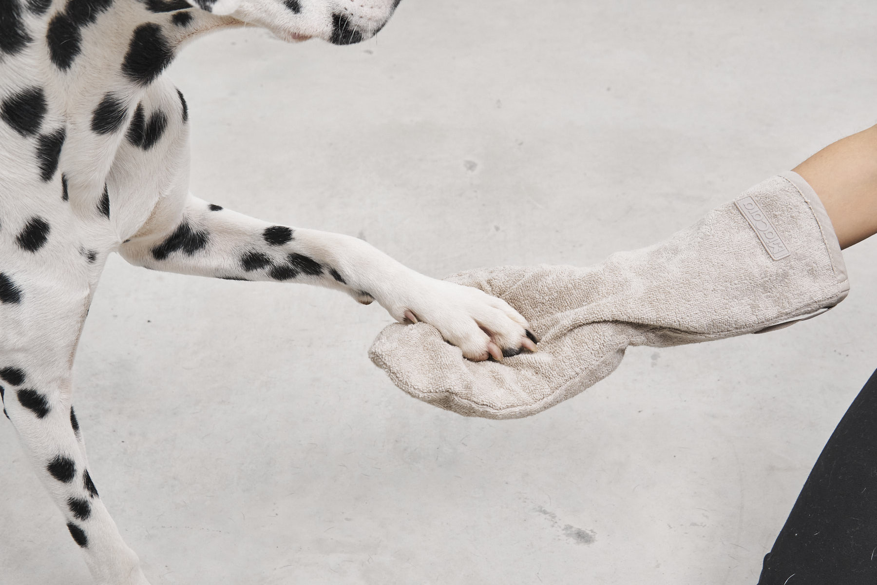 德國MiaCara | 狗狗擦手套