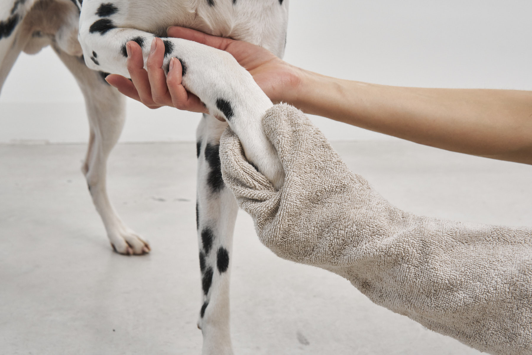 德國MiaCara | 狗狗擦手套