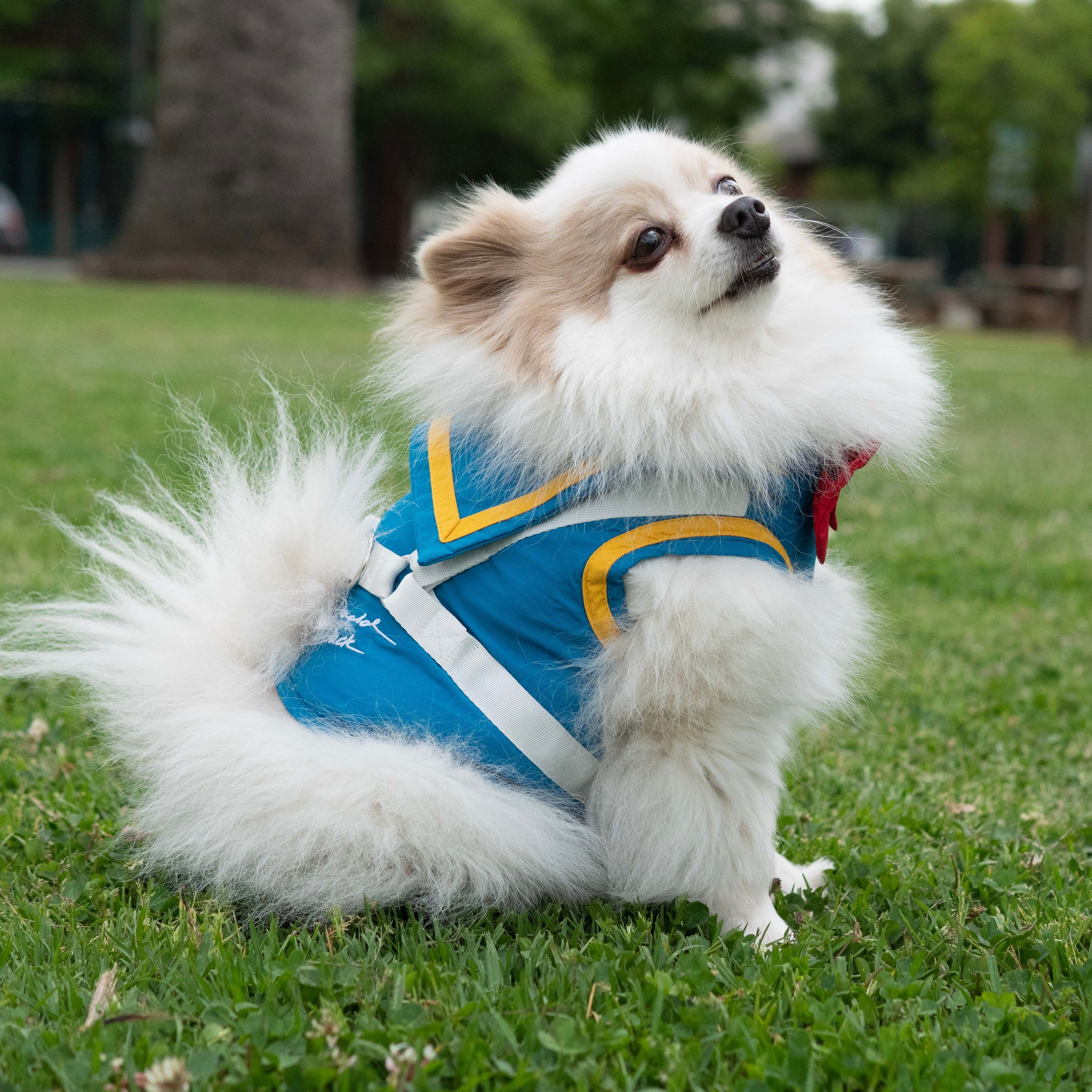 Donald Duck Premium Disney Harness for Pets