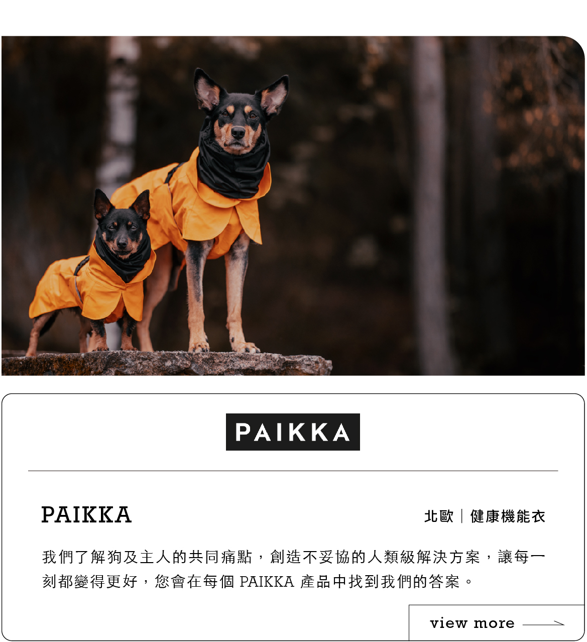 北歐機能寵物服飾推薦