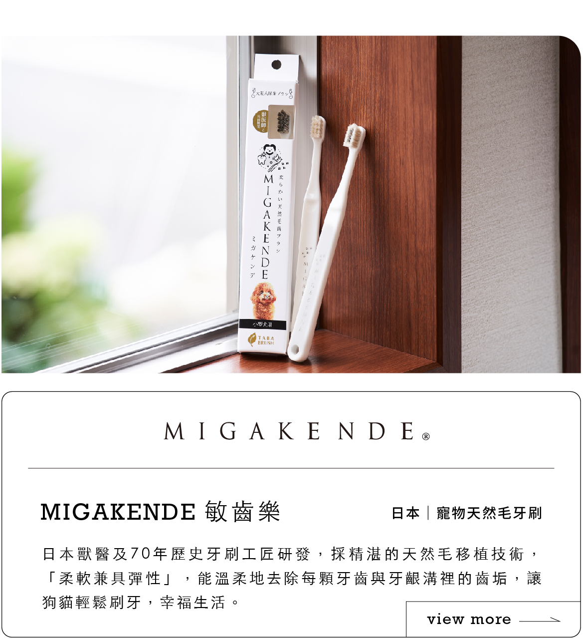 狗狗貓咪寵物牙刷推薦