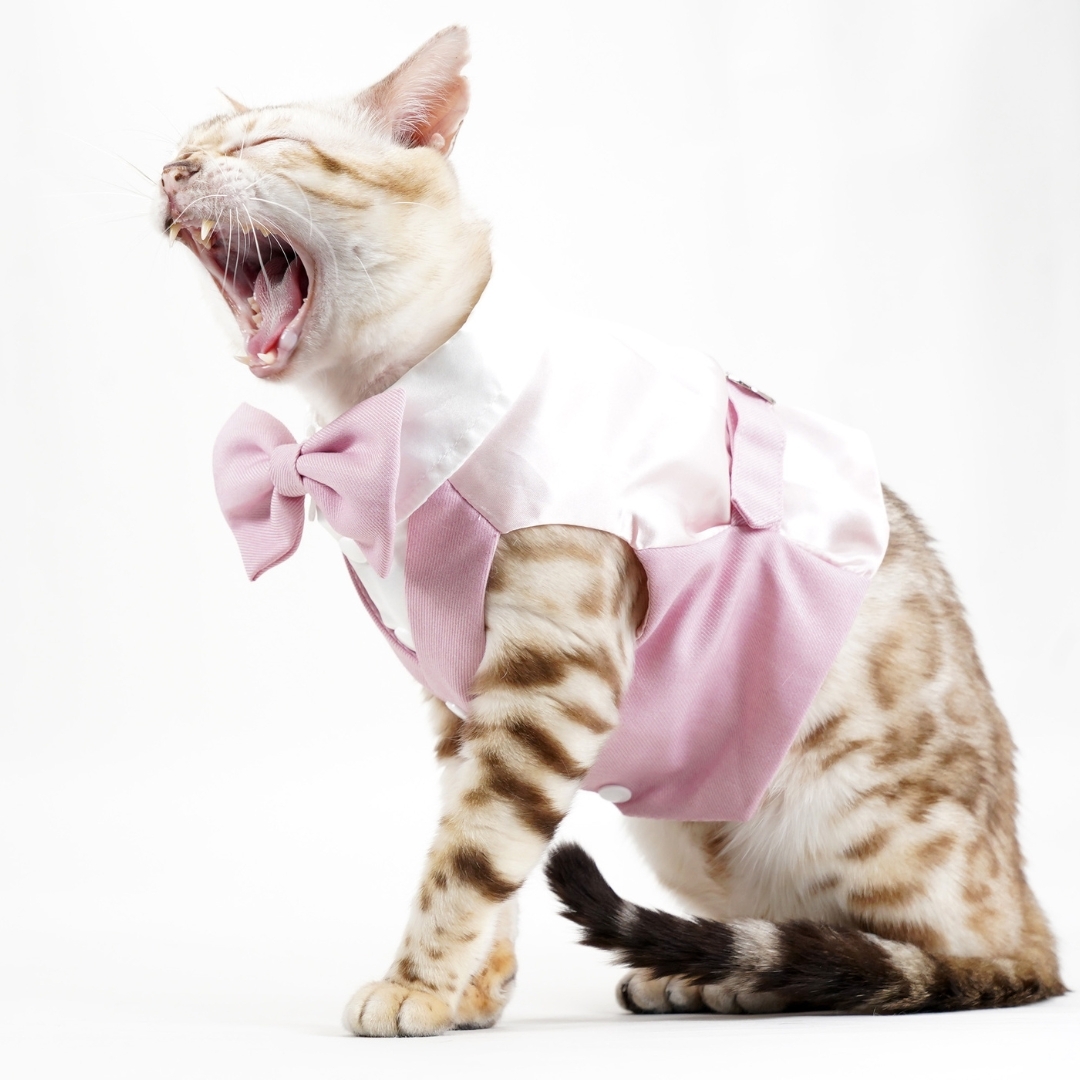 【XS~6XL】Pink Waistcoat