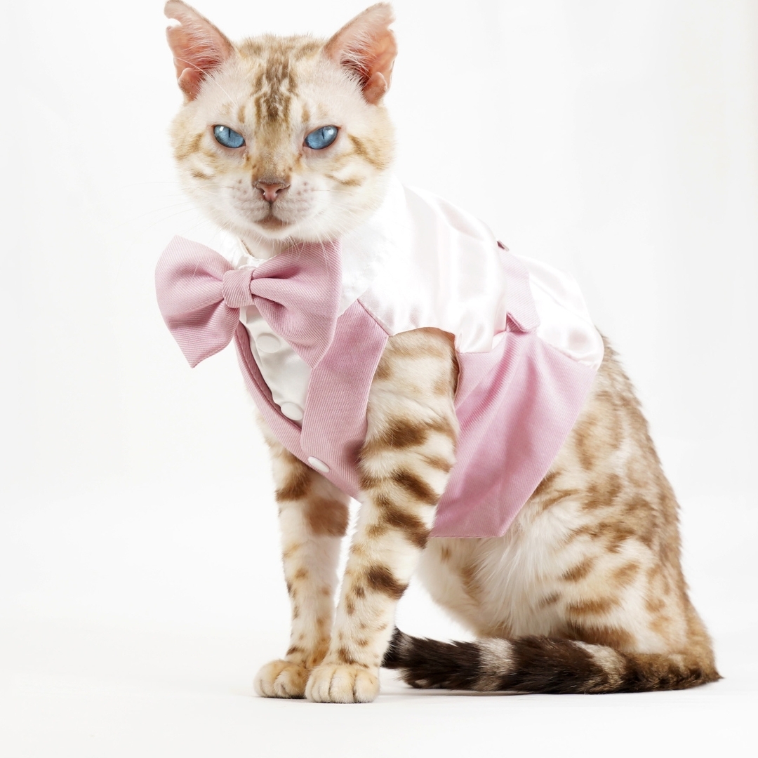 【XS~6XL】Pink Waistcoat