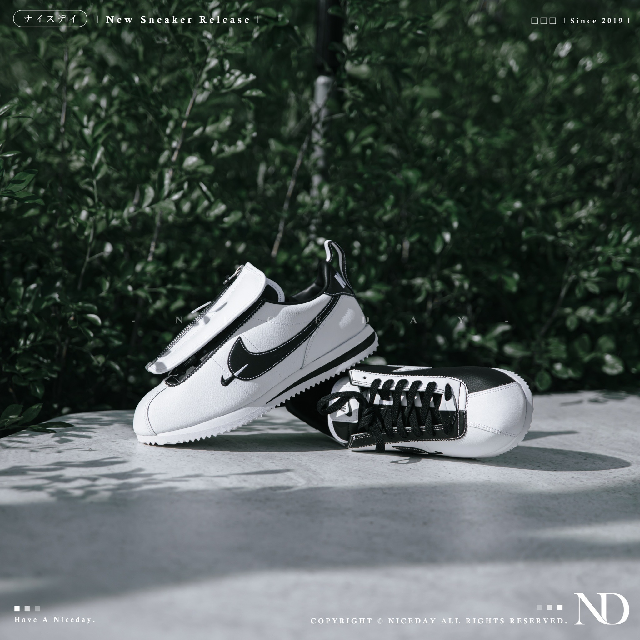 NICEDAY 現貨 Nike Cortez 阿甘鞋 熊貓 黑白鴛鴦 雙勾 皮革 50週年 紀念款 FJ7870-101