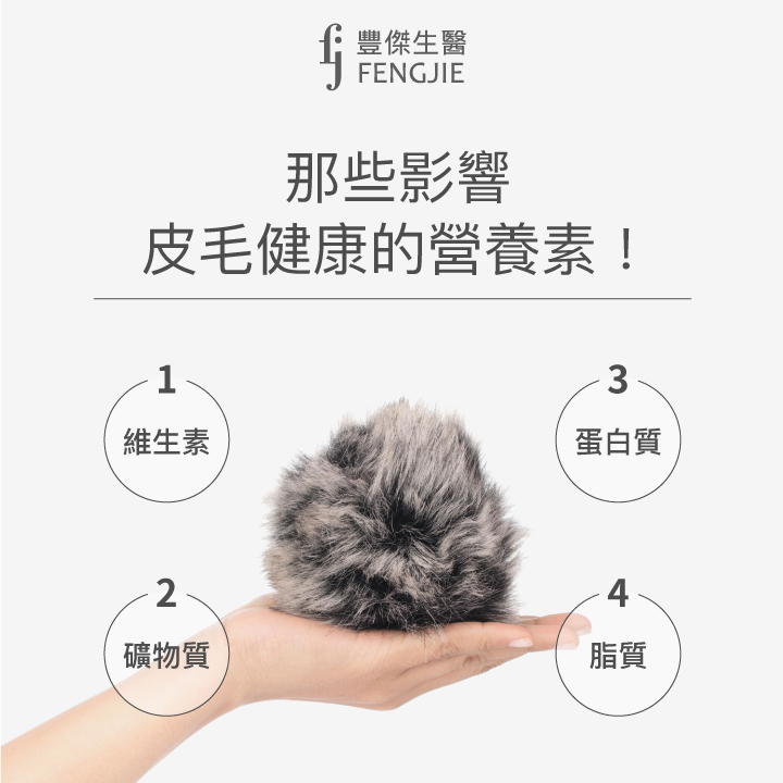 影響狗狗皮毛健康的營養素